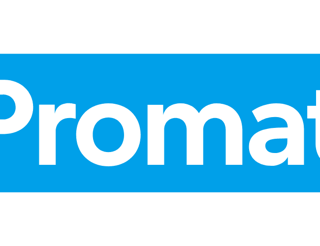 Promat ljepilo K84 u tubi 310ml